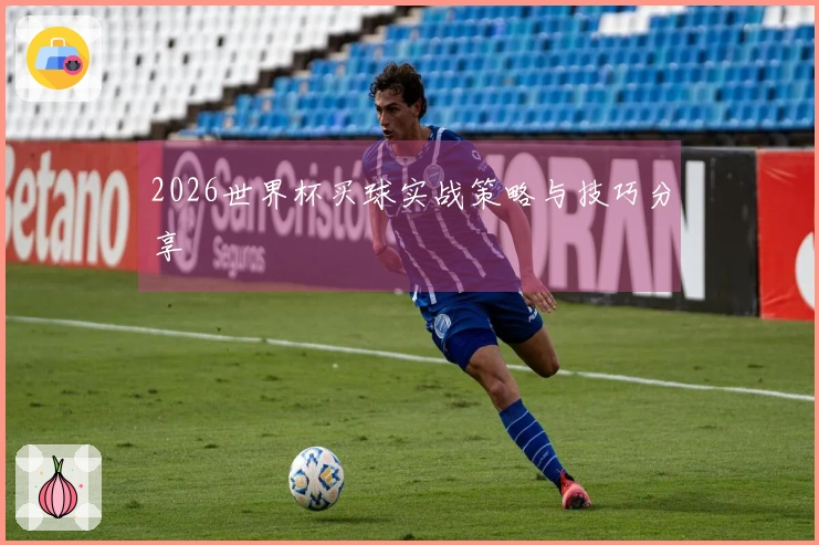2026世界杯买球实战策略与技巧分享