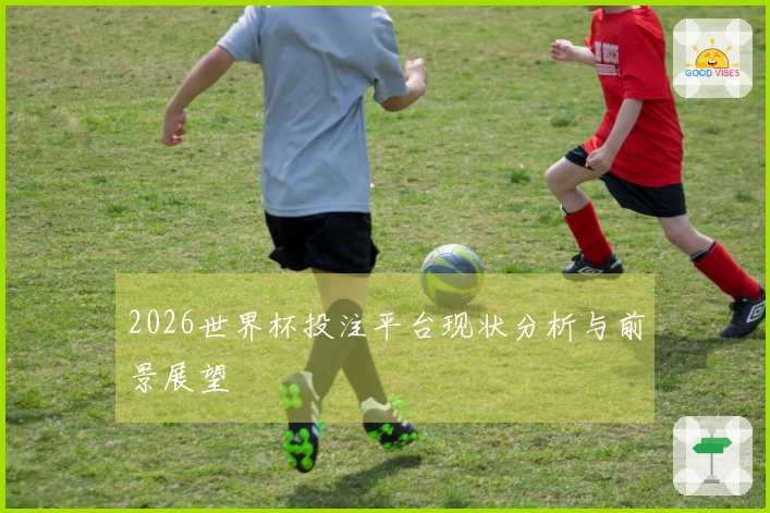 2026世界杯投注平台现状分析与前景展望