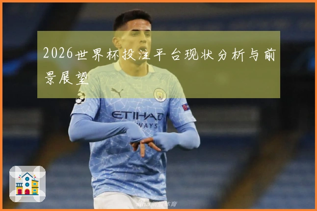 2026世界杯投注平台现状分析与前景展望