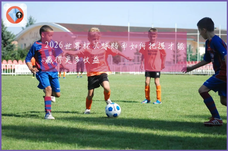 2026世界杯买球赔率如何把握才能赢得更多收益
