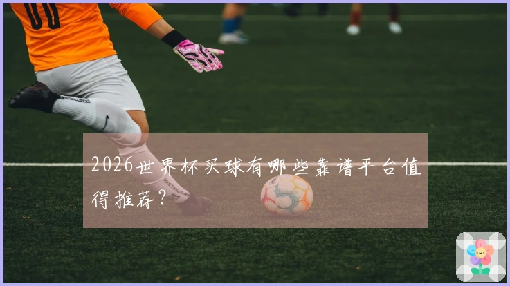 2026世界杯买球有哪些靠谱平台值得推荐？