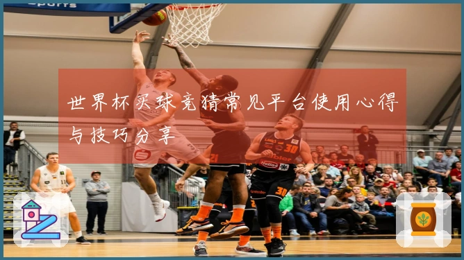 世界杯买球竞猜常见平台使用心得与技巧分享